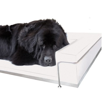 Dog & Cat sofa in eco-leer in 13 verschillende kleuren en structuur in verchroomd of gelakt staal