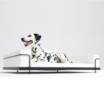 Dog & Cat Sofa aus Kunstleder in 13 verschiedenen Farben und Struktur aus verchromtem oder lackiertem Stahl