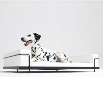 Canapé Dog & Cat en éco-cuir de 13 couleurs différentes et structure en acier chromé ou laqué