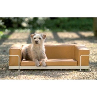 Dog & Cat Sofa aus Öko-Leder in 13 verschiedenen Farben und Strukturen aus verchromtem oder lackiertem Stahl