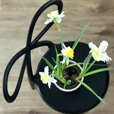 qeeboo ribbon chair black chair flowers