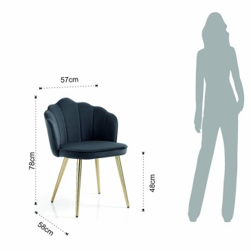 dimensions du fauteuil coquillage tomasucci