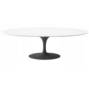 Oval Tulip Table Extendable in various sizes