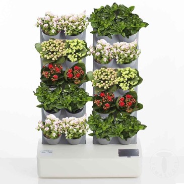 Tomasucci Vertical Garden with self-watering pots suitable for both indoor and outdoor use