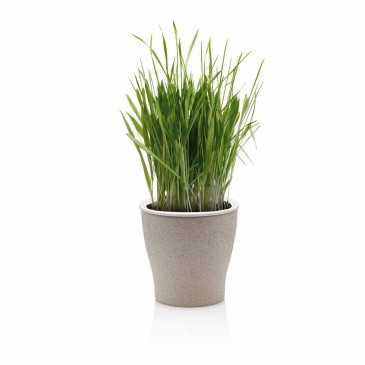 Tomasucci Loppy Medium self-watering pot for indoors and outdoors