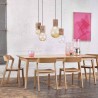 Ton Merano Chair set of two wooden chairs with a modern design