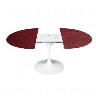Re-edition of Tulip oval table in extendable wood | kasa-store