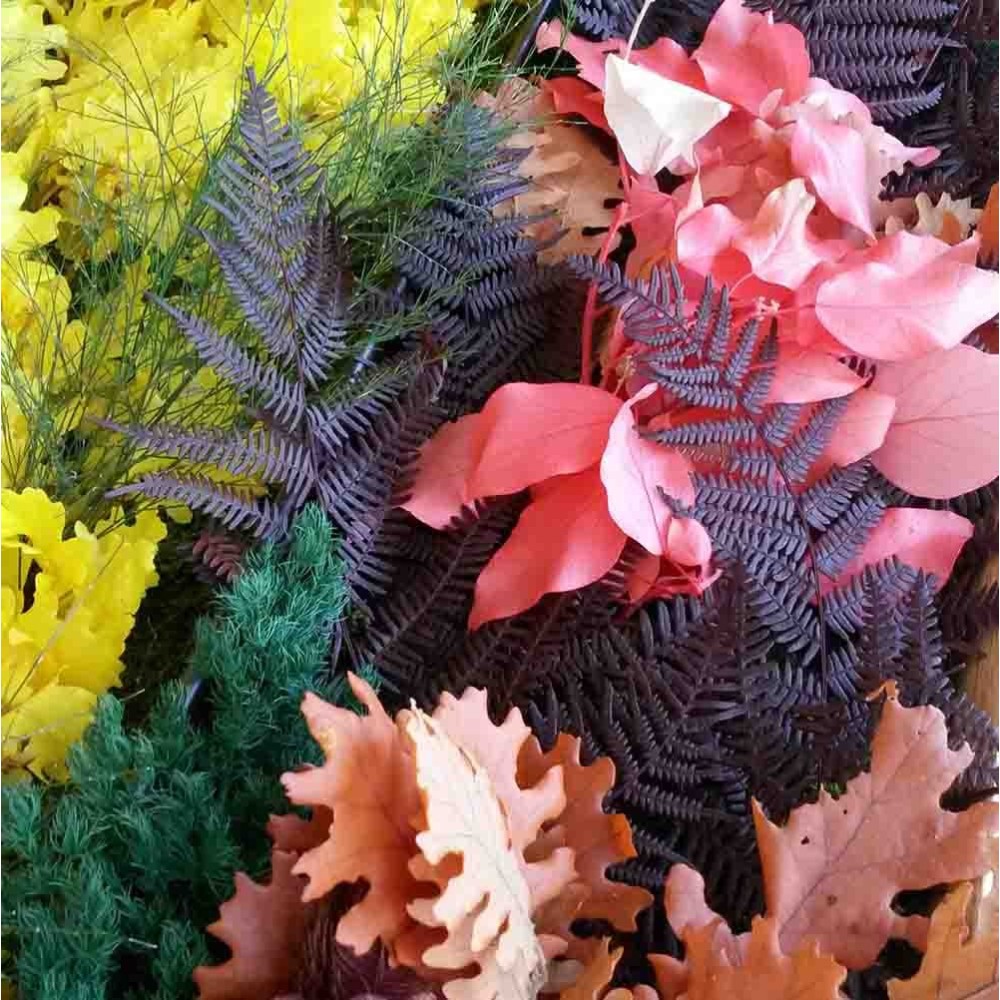 Linfadecor-Rahmen mit stabilisierten Blumen bedeckt | kasa-store