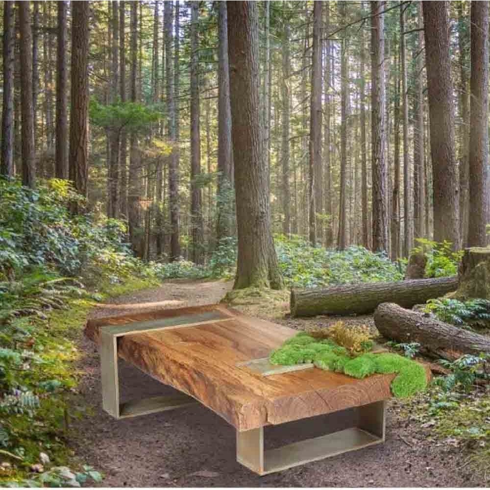 Mesa de centro de madera cubierta de musgo | kasa-store