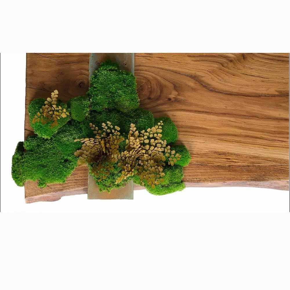 Moss Covered Wood Coffee Table | kasa-store