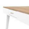 Temahome Horizon desk available in two finishes | kasa-store