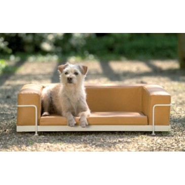 Dog & Cat Sofa aus Öko-Leder in 13 verschiedenen Farben und Strukturen aus verchromtem oder lackiertem Stahl